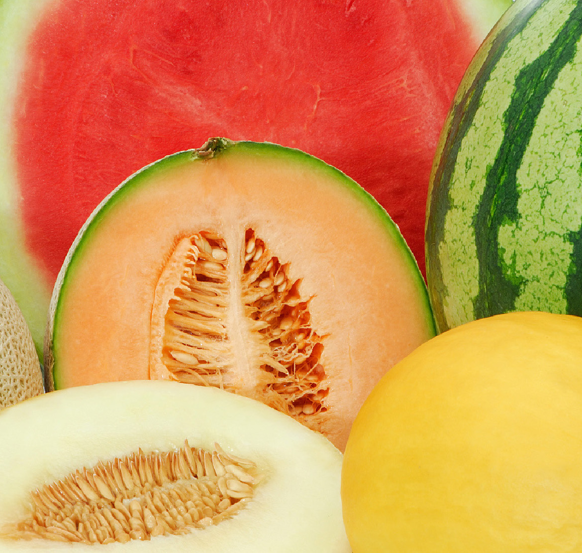 Erfrischende Melonen